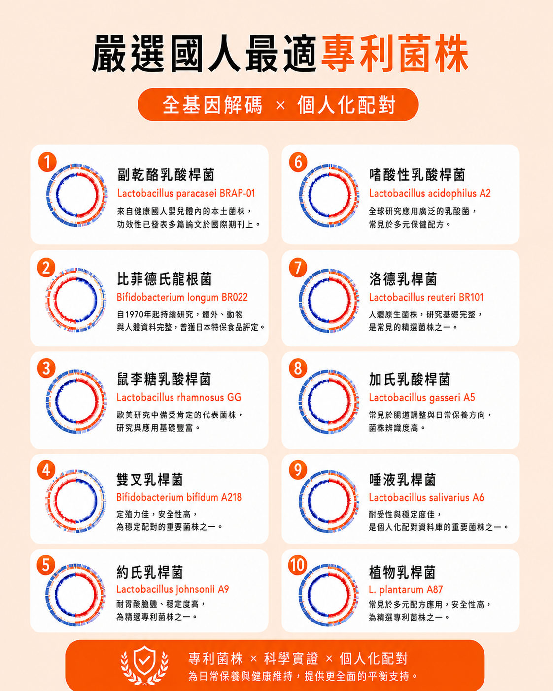 嚴選國人最適專利菌株:全基因解碼與個人化配對,包含副乾酪乳酸桿菌、比菲德氏龍根菌、鼠李糖乳酸桿菌等10種專利菌株