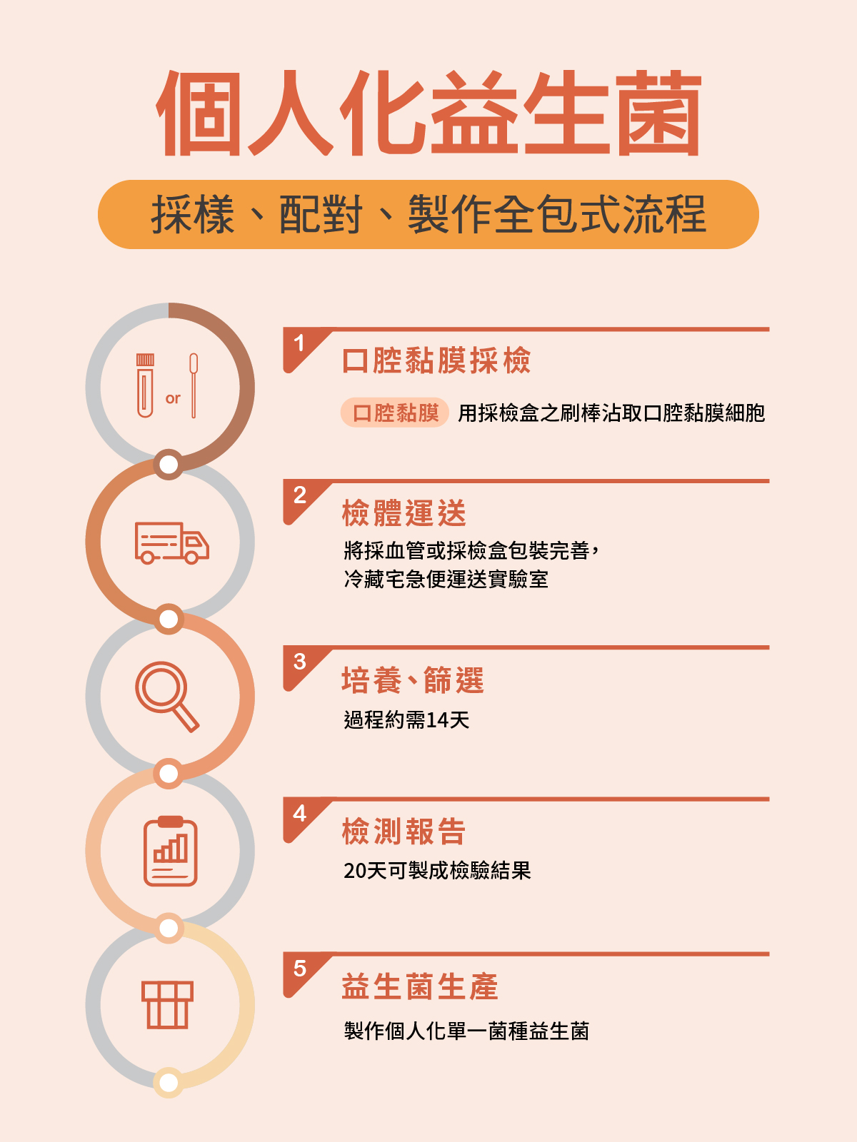 個人化益生菌製作流程:口腔黏膜採檢、檢體運送、培養篩選(約14天)、檢測報告(20天)、益生菌生產五步驟