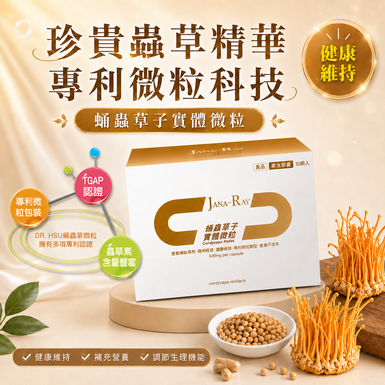珍貴蟲草精華 專利微粒科技 - 蛹蟲草子實體微粒 JANA-RAY